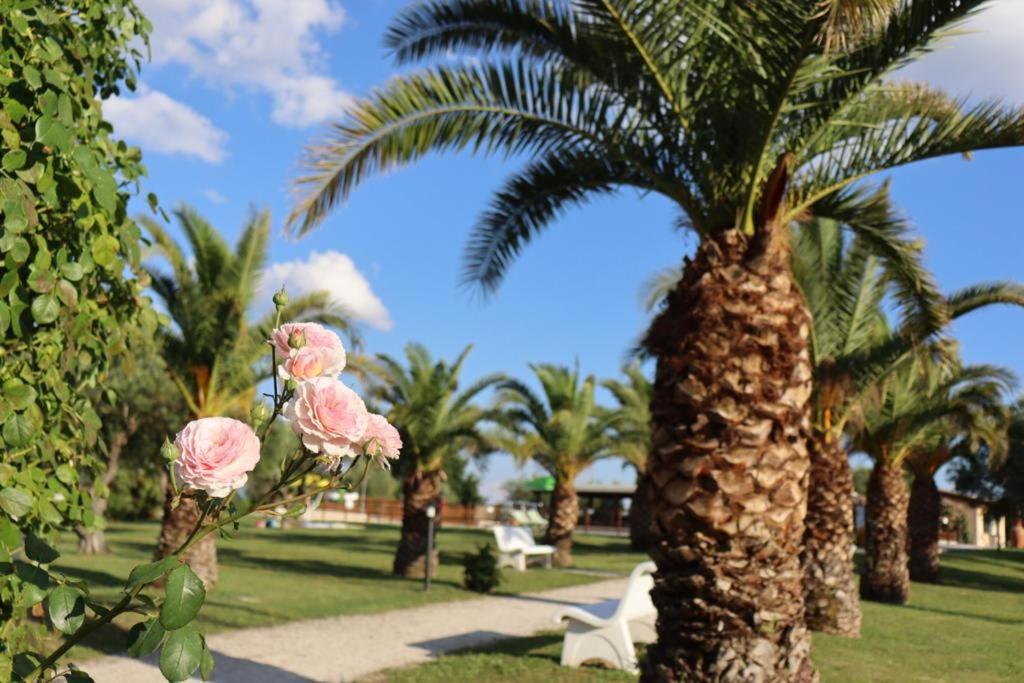 Agriturismo Il Casale Di Monica Rivotorto Eksteriør bilde