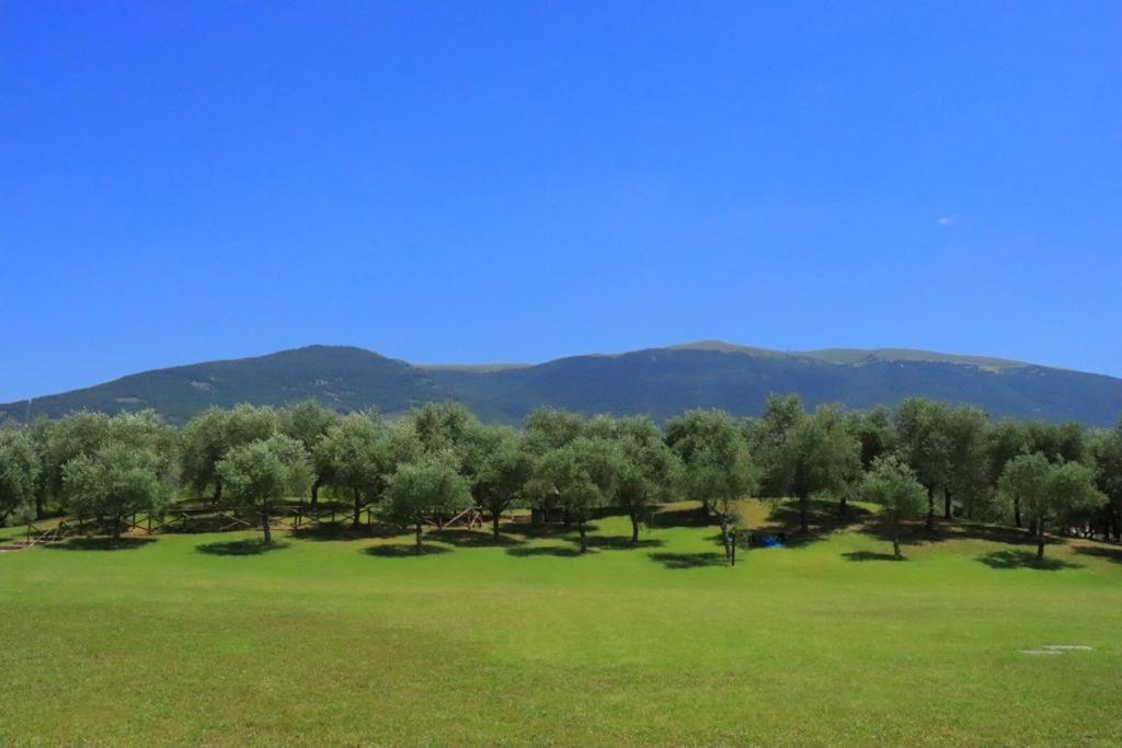 Agriturismo Il Casale Di Monica Rivotorto Eksteriør bilde