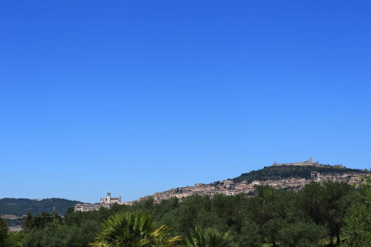 Agriturismo Il Casale Di Monica Rivotorto Eksteriør bilde